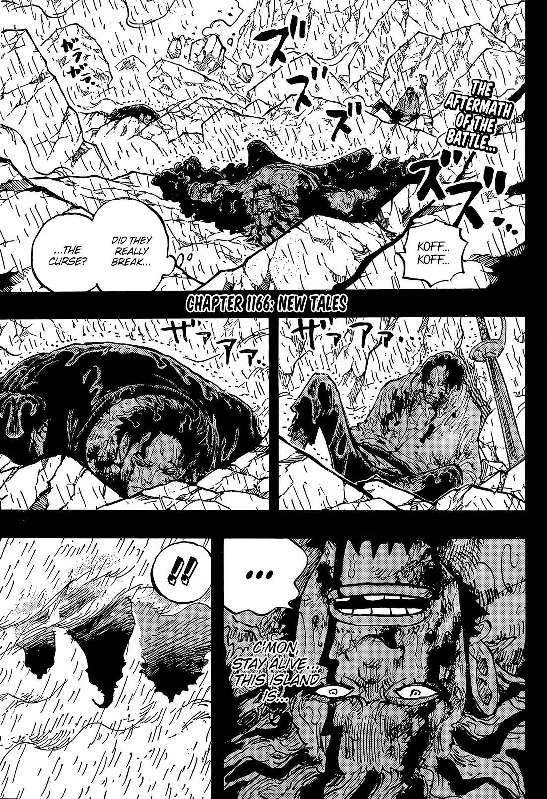 One Piece Chapter 1166 - Page 3