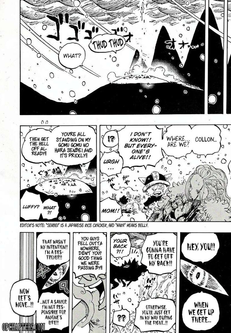 One Piece Chapter 1174 - Page 13