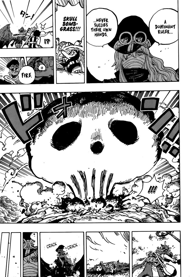 One Piece Chapter 1177 - Page 15