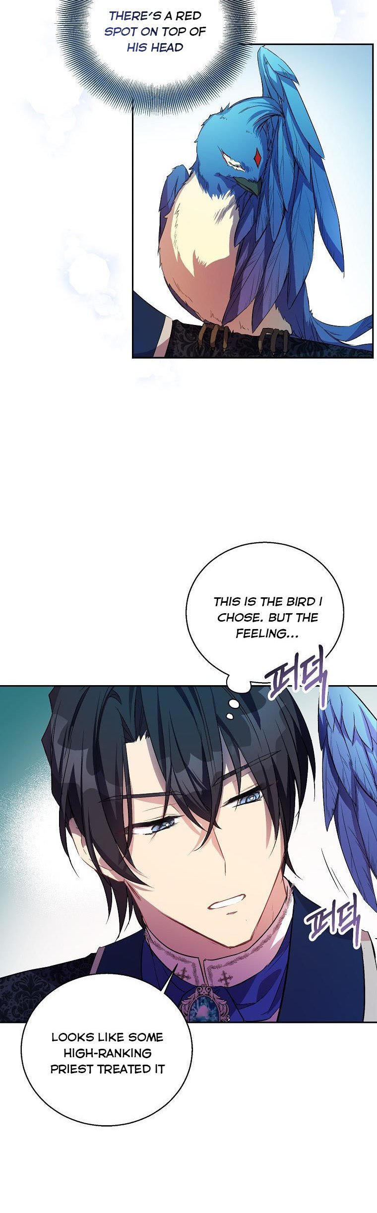 I'm a Fake Saintess but the Gods are Obsessed Chapter 15 - Page 9