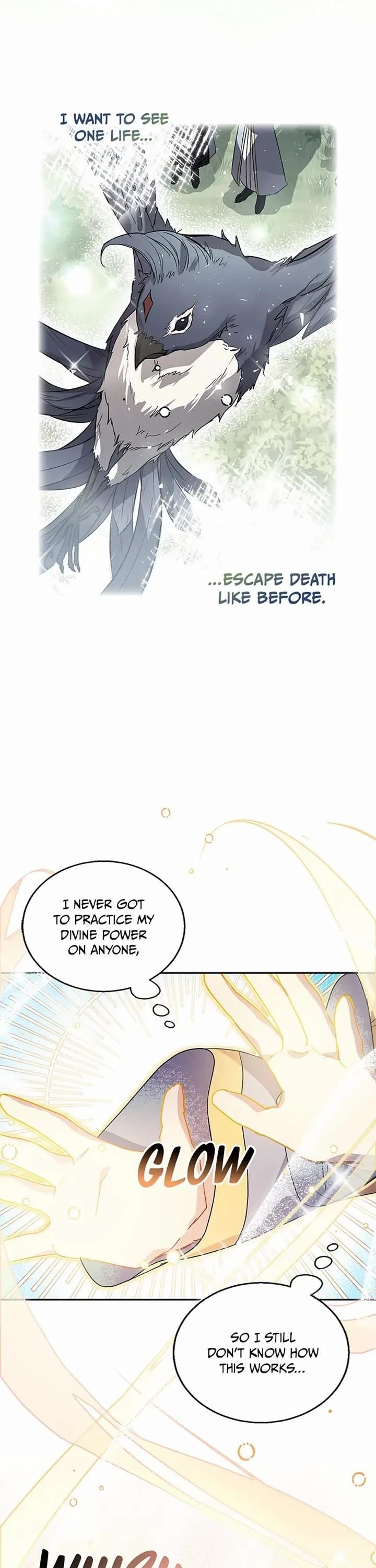 I'm a Fake Saintess but the Gods are Obsessed Chapter 27 - Page 27