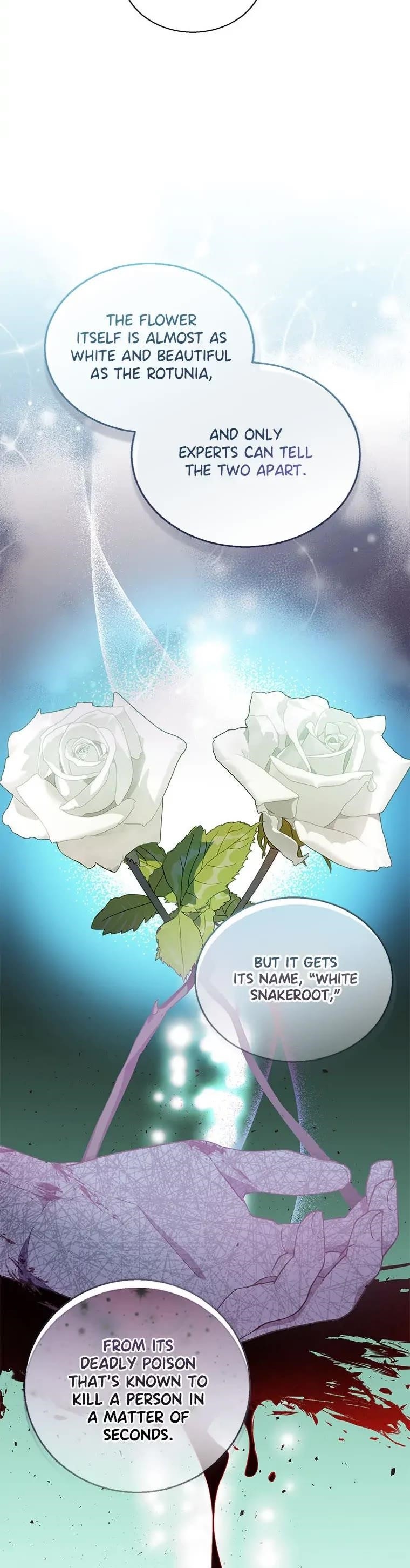 I'm a Fake Saintess but the Gods are Obsessed Chapter 34 - Page 24