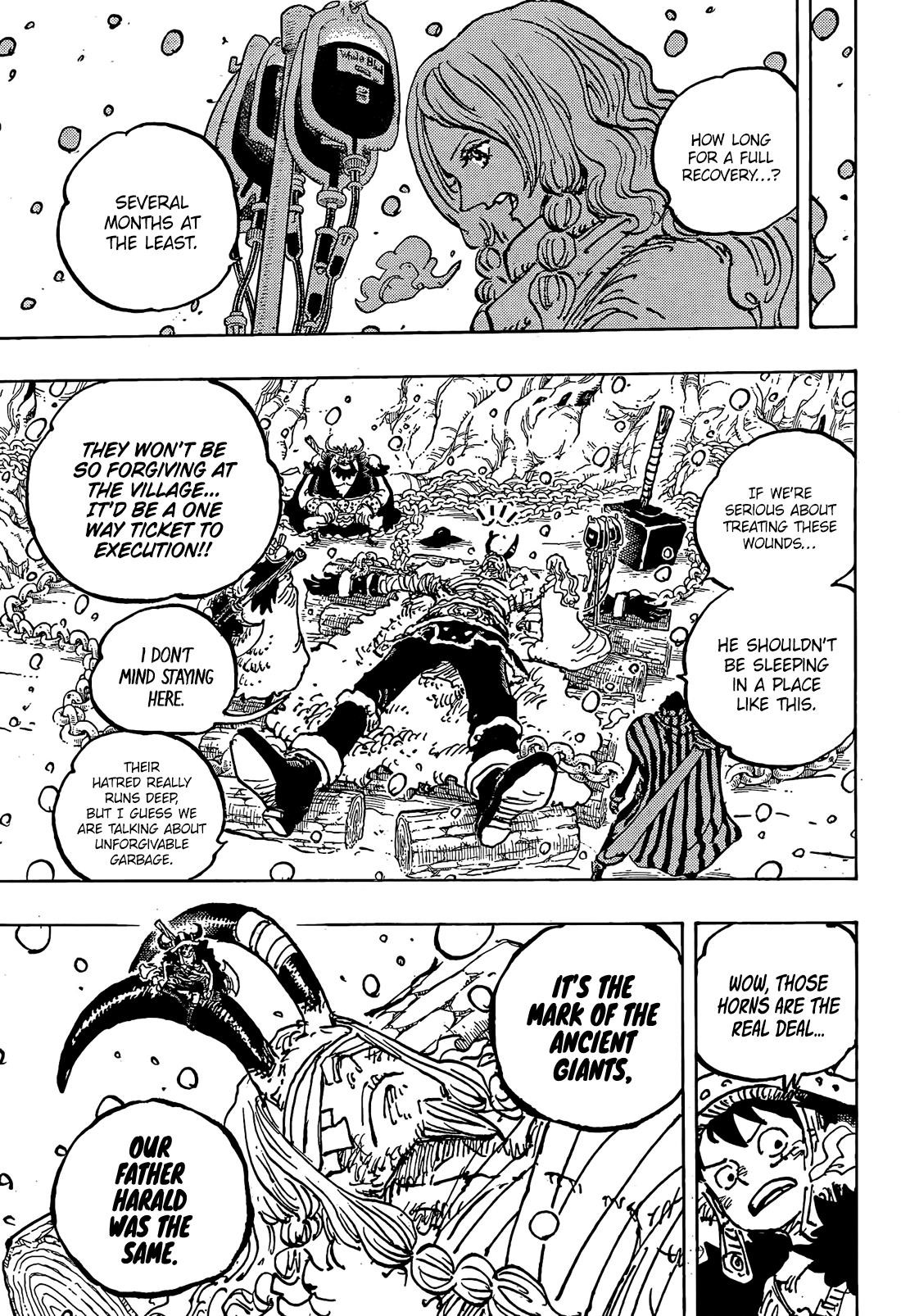 One Piece Chapter 1143 - Page 17