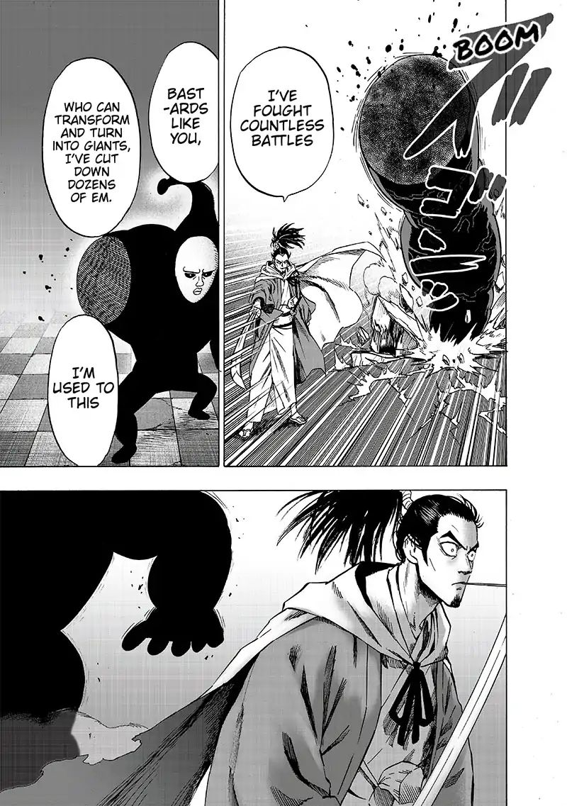 One-Punch Man Chapter 162 - Page 17