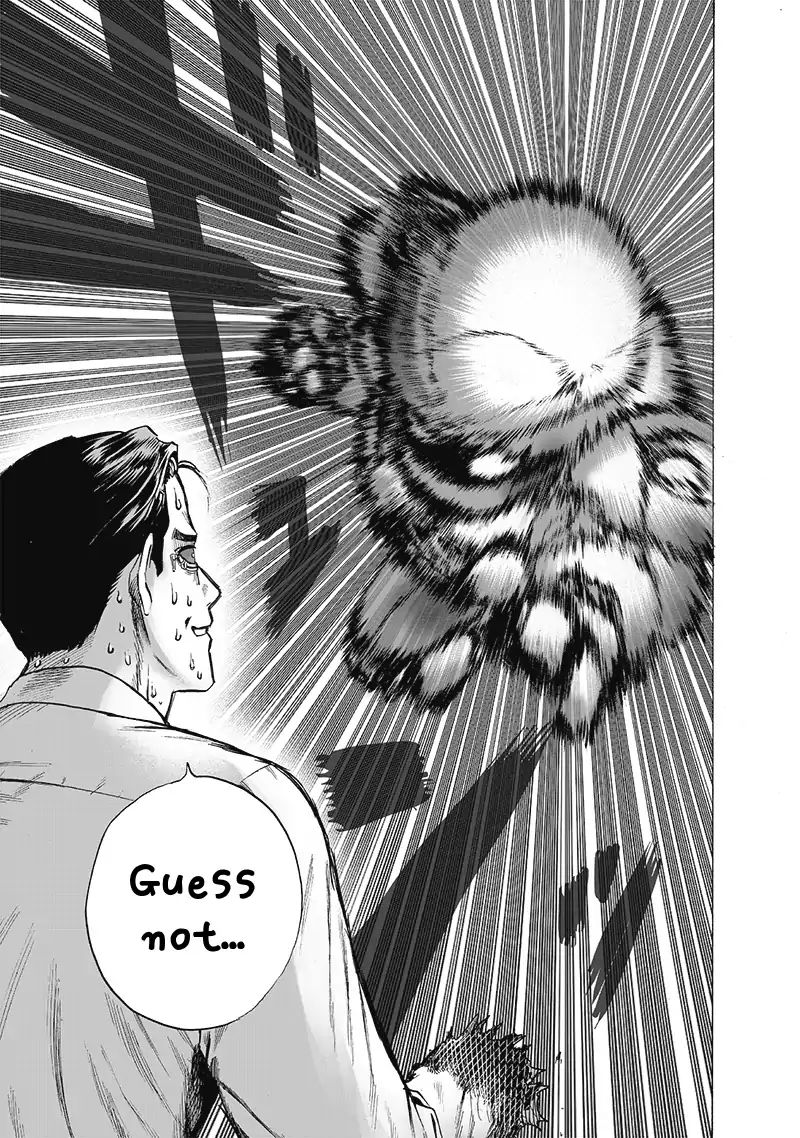 One-Punch Man Chapter 171 - Page 22