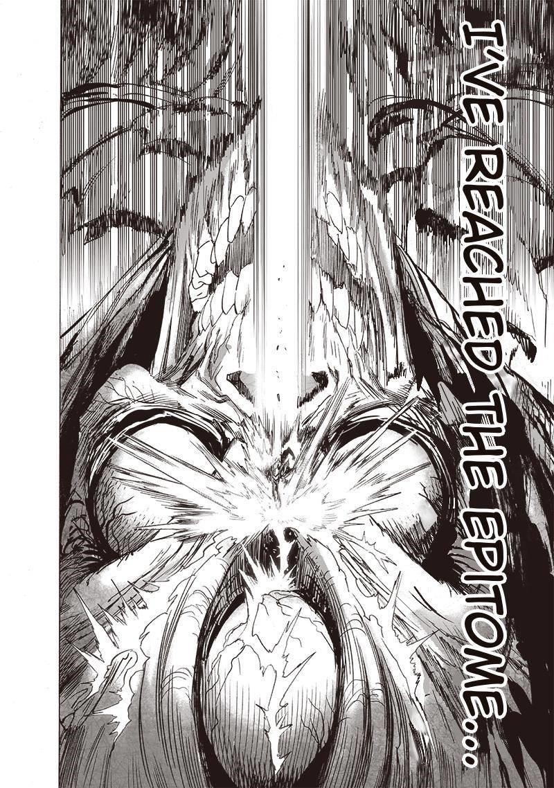One-Punch Man Chapter 217 - Page 16