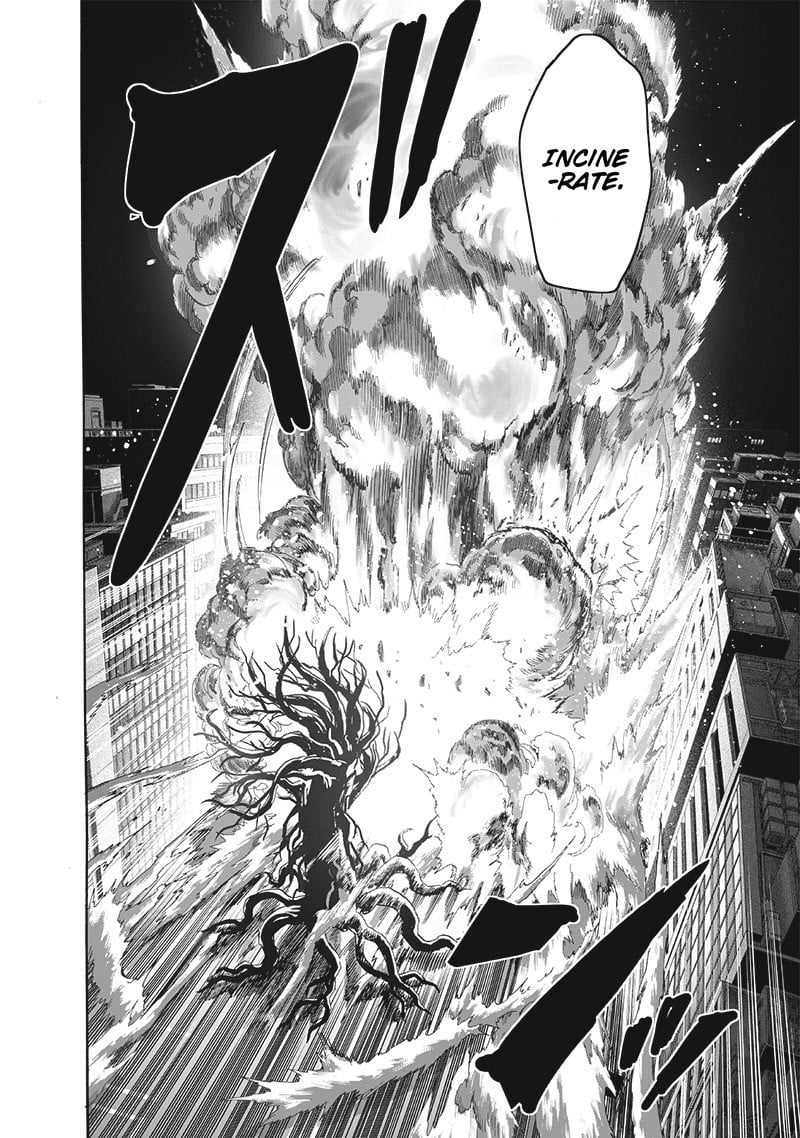 One-Punch Man Chapter 244 - Page 24