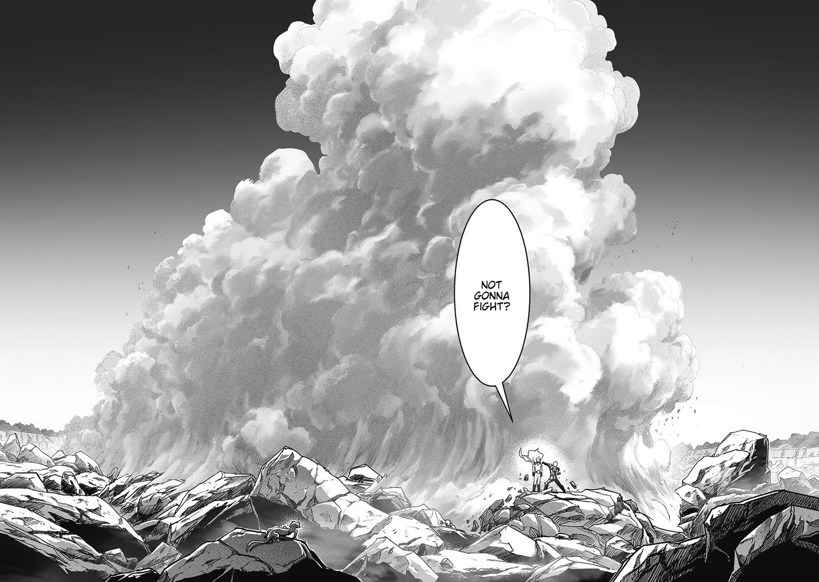 One-Punch Man Chapter 245 - Page 14