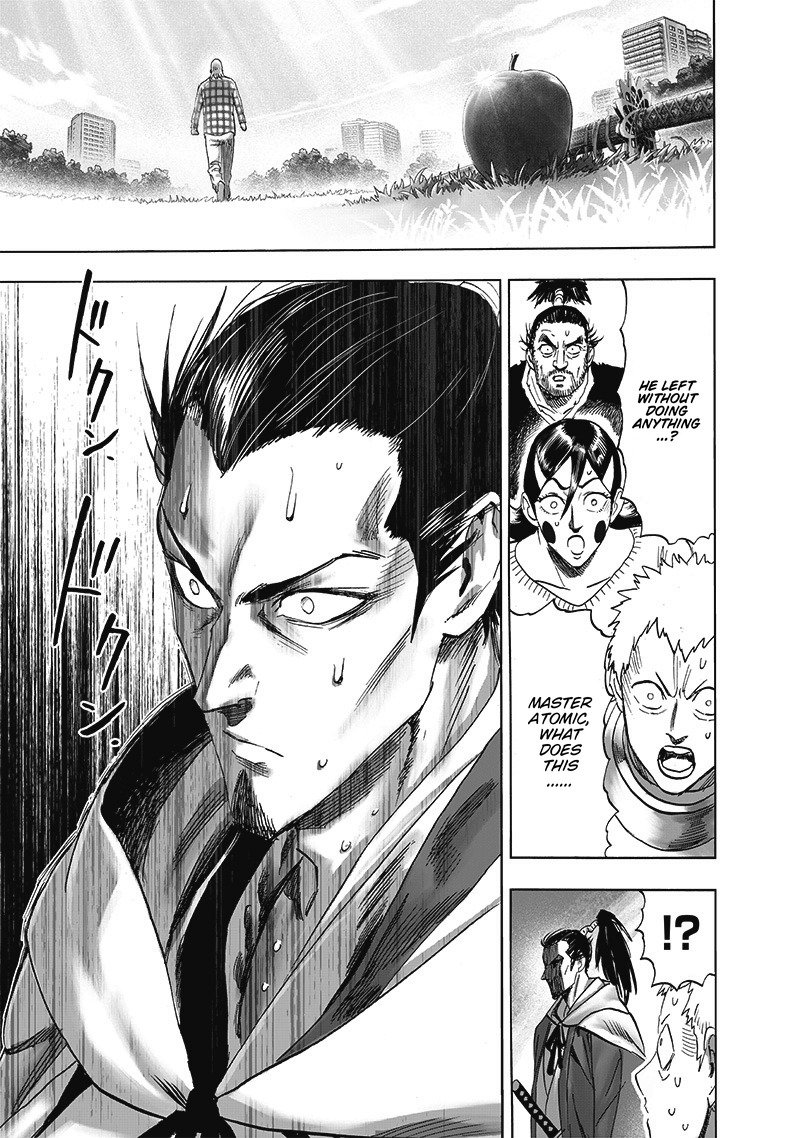 One-Punch Man Chapter 249 - Page 25