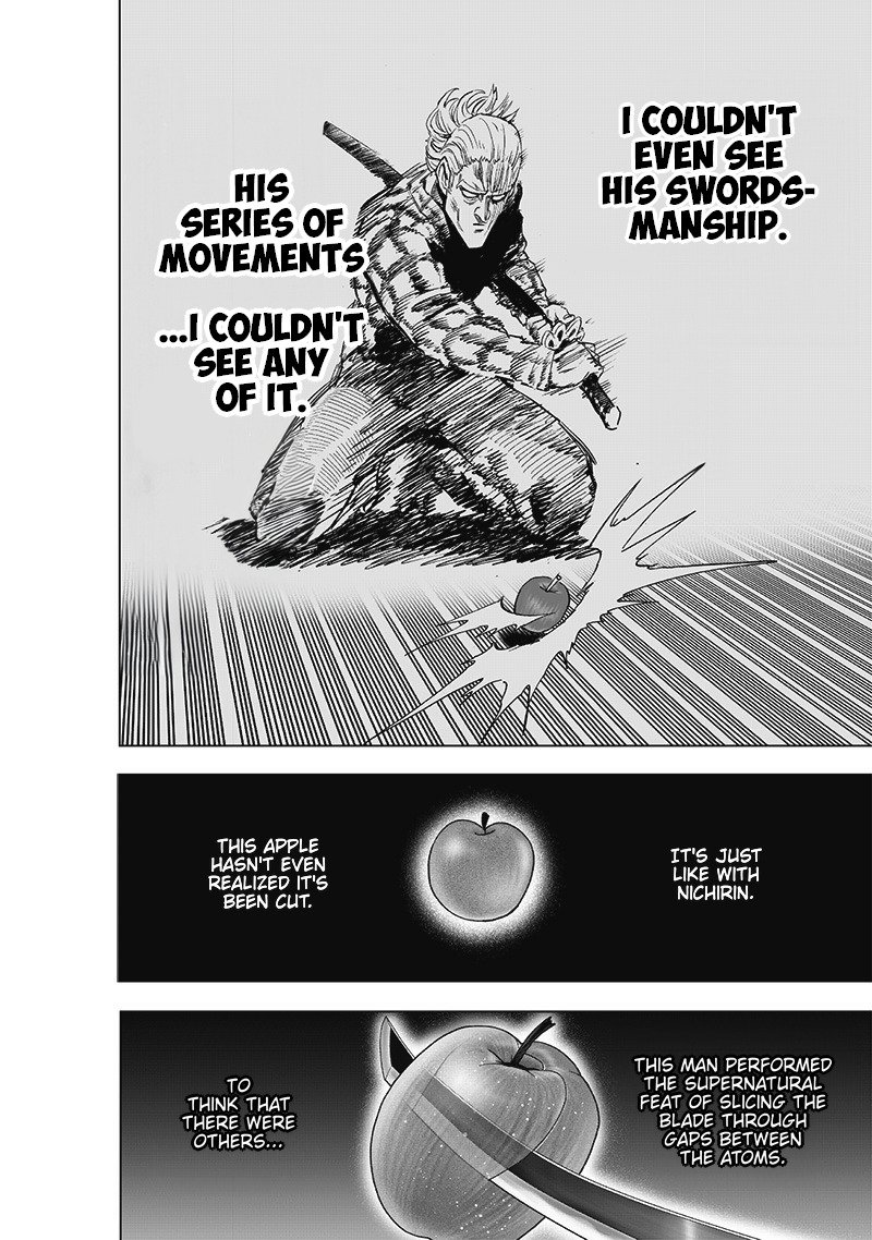 One-Punch Man Chapter 249 - Page 26